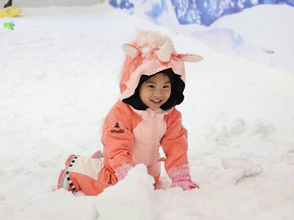 台中雪樂園平日個人票